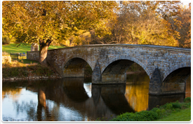 bridge over creek in autumn