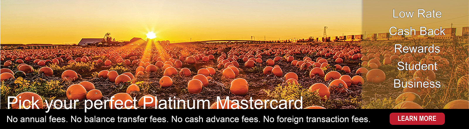 Pick your perfect Platinum Mastercard. No annual fees. No balance transfer fees. No cash advance fees. No foreign transaction fees.