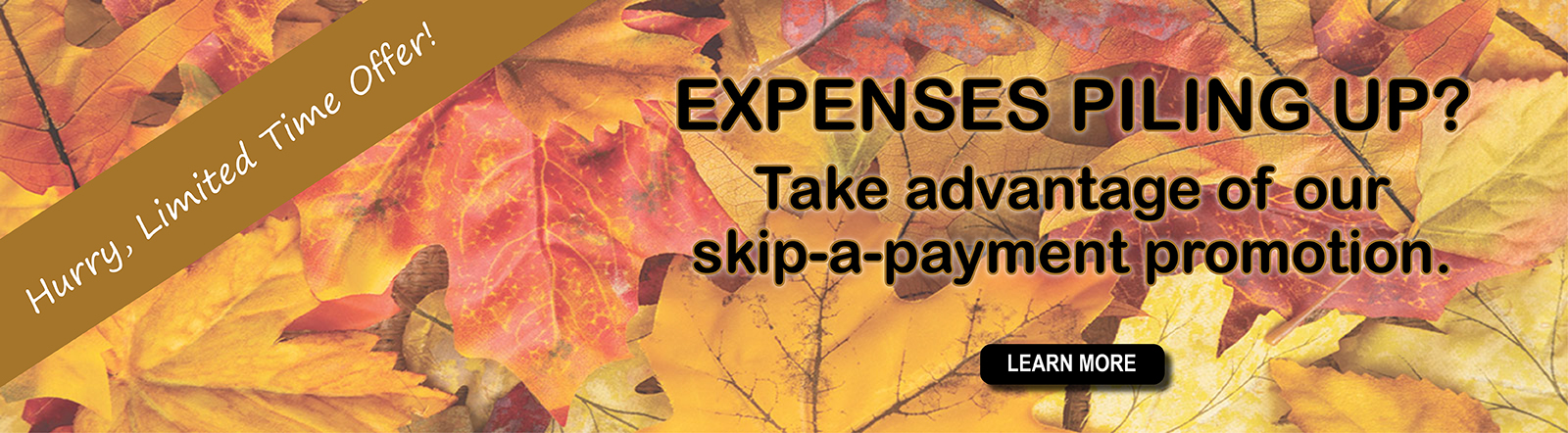 Expenses piling up? Take advantage of our skip-a-payment promotion for a limited time.